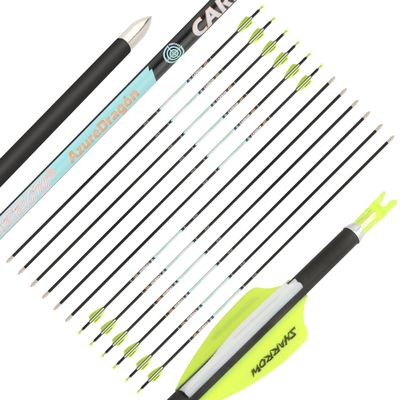 ZSHJGJR 32 Inch Pure Carbon Arrows ID 4.2mm Targeting Arrows Spine 300 400 500 600 700 800 900 1000 for Archery Competition Target Shooting Hunting 6/12Pack (12, Light Yellow & White, Spine 800)