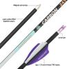 ZSHJGJR 32 Inch Pure Carbon Arrows ID 4.2mm Targeting Arrows Spine 300 400 500 600 700 800 900 1000 for Archery Competition Target Shooting Hunting 6/12Pack (12, Purple White, Spine 400) view 2