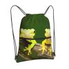 NOUZU Two Geckos Print Sports Drawstring Backpack For Women With Zipper Pockets Lightweight Travel Gym Bag, Black view 2