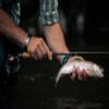2 wt. 10'0" 4 pc. Elevare Rod w/Case view 4