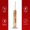 Almos Sports English Willow Cricket Bat  Players Reserve Grade 1, Lightweight 2.6 lb, Long Handle, 12 Grain Hard Hitting Bat for Adults view 4