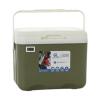 Amagogo Cooler Box Small Ice Chest Personal 6L Cold Storage Insulated Box Insulated Portable Cooler for Commercial Party Breast Milk, Green view 1