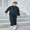 Arshiner Toddler Boy Letter Embroidery Half Zip Sweatshirt & Pants Set Fleece Winter Outfits 2-3T Navy Blue view 2