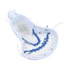 KIMISS Nylon Strung Mesh, Wearproof Stick Heads Ideal for Training and Competition (Teenager) view 1