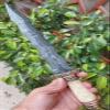 Custom Handmade Damascus Steel Hunting Knife, 216+ Layers, Zigzag Dagger Fixed Blade, Brass with Camel Bone Handle, Camping Knife view 1