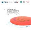 Yikun Professional Disc Golf Floating Driver Zhu and Mid Range Disc Golf YAO view 4