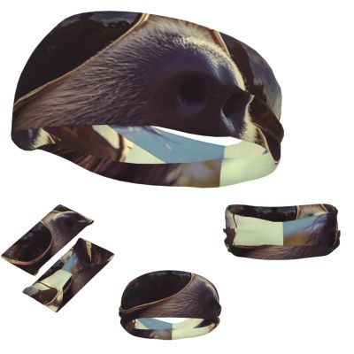 Dwrepo Sports Headbands for Men Women Sports Sweatband Sloth with sunglasses Hairband Moisture Wicking Head Bands, Black