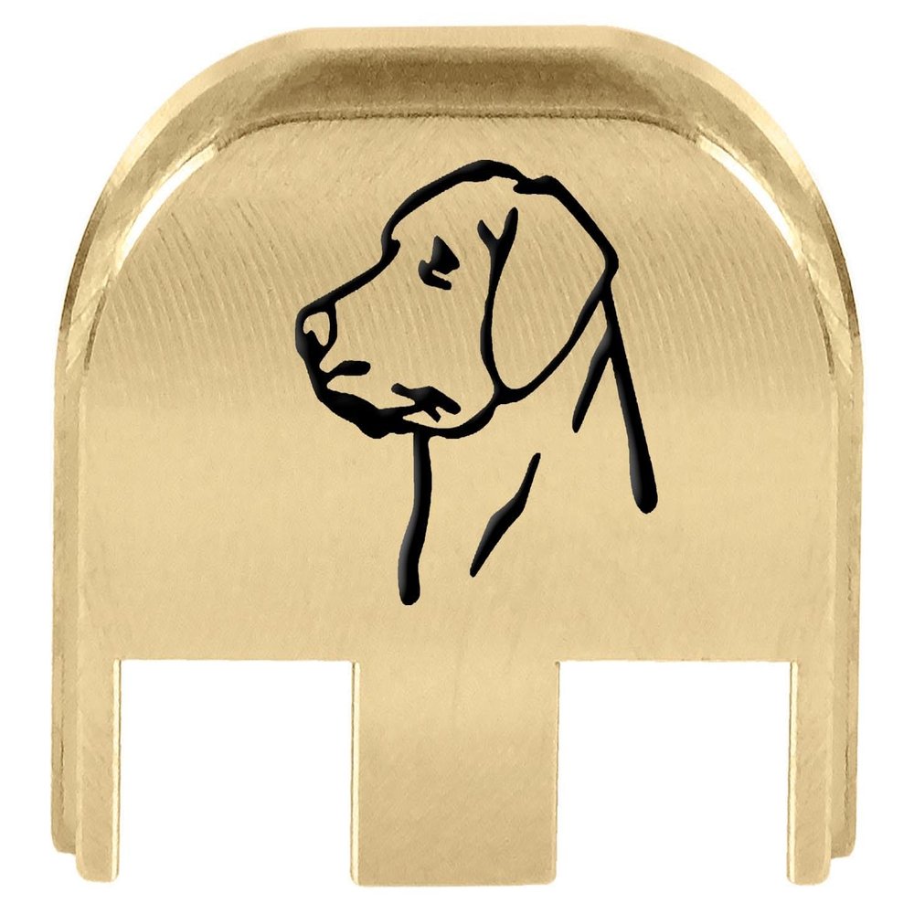 NDZ Performance Slide Back Plate for Glock Gen 5 Models 17 19 19X 22 23 26 27 34 45 47  9mm/.40  Laser Engraved Brass  Dog Head 2, Black Fill  Made in USA