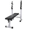 Adjustable/Foldable Strength Training Bench, Utility Incline/Decline Bench for Full Body Workout with Fast Folding,Fitness Workout Bench Straight Weight Bench view 1