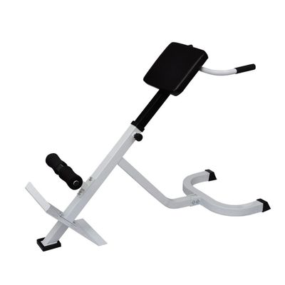 Health & Fitness Hyperextension Roman Chair with Adjustable Height and Back, Glute, Hamstring, and Ab Workouts Foldable Sit Up Gym Bench for Home,Back Extension Bench