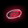 Littlearth NHL Neon Pet T-Shirt Carolina Hurricanes view 4