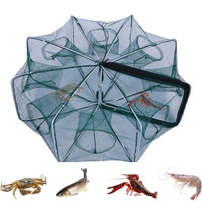 Ayammahic The Magic Foldable Fishing Trap, Foldable Fishing Bait Trap, 8- Fish Trap Portable Bait Cage Traps Fishing Net for Catching Fish Shrimp Crab Crawfish, 65x65x24cm