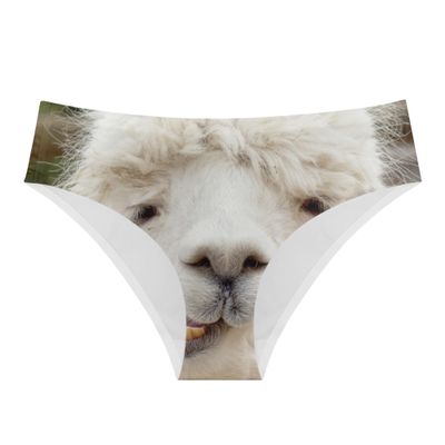 DDFS Funny Womens Underwear Sexy Women Underwear Briefs Breathable Funny Underwear for women bachelorette L