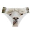 DDFS Funny Womens Underwear Sexy Women Underwear Briefs Breathable Funny Underwear for women bachelorette L view 1