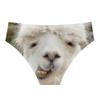DDFS Funny Womens Underwear Sexy Women Underwear Briefs Breathable Funny Underwear for women bachelorette L view 3