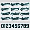 White Aqua Black Mens Softball Uniforms Baseball Bulk Jerseys Two Button Pullover Softball Jerseys for Adult Slowpitch Custom Team Jersey view 3