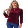 Allegra K Velvet Long Sleeve T Shirt for Women's Stand Collar Elegant Casual Blouse Top X-Small Burgundy view 1