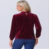 Allegra K Velvet Long Sleeve T Shirt for Women's Stand Collar Elegant Casual Blouse Top X-Small Burgundy view 3