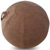AOLIAZMAX Exercise Ball Cover for Pilates Ball, Yoga Ball, Birthing Ball, Sitting Ball Chair, Office Ball Chair[Ball not Included](Brown,65CM) view 1