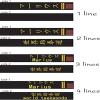 WXMYOZR Custom Embroidered Black Belt for Karate Martial Arts Taekwondo Judo, Width 2 inch Taekwondo Black Belt Customize Embroidery,126in/320cm view 4