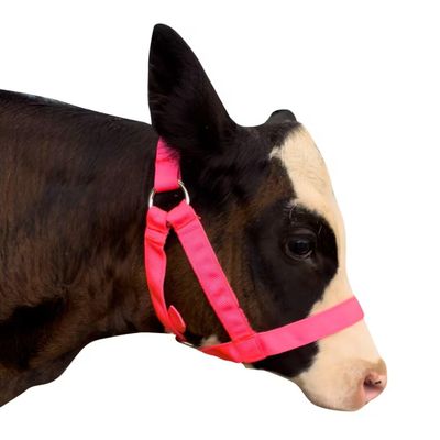 perixir Cow Halter Cattle Halters Calf HalterAdjustable Nylon Livestock Cattle Halterfor Miniature Horse Donkey Goat Foal (Pink, Large)