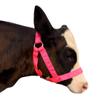 perixir Cow Halter Cattle Halters Calf HalterAdjustable Nylon Livestock Cattle Halterfor Miniature Horse Donkey Goat Foal (Pink, Large) view 1