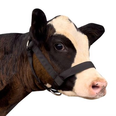 perixir Cow Halter Cattle Halters Calf HalterAdjustable Nylon Livestock Cattle Halterfor Miniature Horse Donkey Goat Foal (Black, Small)