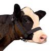 perixir Cow Halter Cattle Halters Calf HalterAdjustable Nylon Livestock Cattle Halterfor Miniature Horse Donkey Goat Foal (Black, Small) view 1