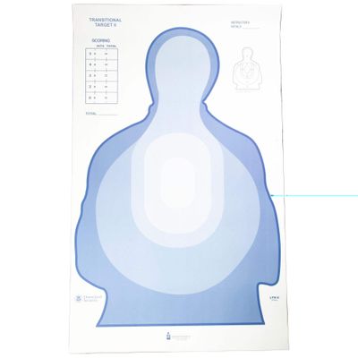 Action TGT USDT TRNSITION BLU 100PK