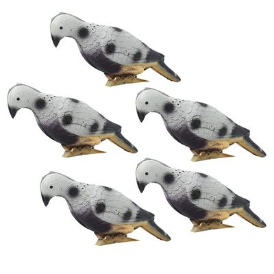 5PCS Lifelike Archery Animal Decoys 3D Pigeons Bait Decoys for Archery and Hunting, Lightweight Foam Archery Targets for Training and Decoration Practical and Multifunctional Dove Decoys