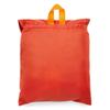 Cotopaxi Seco 45L Rain Cover Canyon view 4