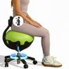 Aeromat Elite Yoga Ball Chair for Office & Home 250lbs Cap  Ergonomic Balance Ball Desk Chair w/Lockable Wheels,Adjustable Height, Anti-Burst Removable Ball, Back Support for Posture & Core Relief view 1