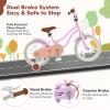 COSTWAY Kids Bike, 16 Inch Toddler Children Bike w/Training Wheels, Hand & Coaster Brakes, Adjustable Saddle & Handlebar, Basket, Bell, Kids Bicycle for Girls Boys Aged 3-8 Years Old, Light Purple view 3