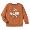 Toddler Boy 2nd Birthday Outfits Im Two Cute Sweatshirt 2 Year Old Birthday Boy Sweatshirt view 1