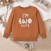 Toddler Boy 2nd Birthday Outfits Im Two Cute Sweatshirt 2 Year Old Birthday Boy Sweatshirt view 3