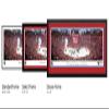 Florida Panthers, 2024 NHL Stanley Cup Champions - Double Mat, Deluxe Framed Picture by Blakeway Panoramas (44"W x 18"H) view 4