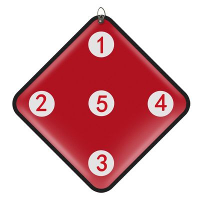 DJJYCTNM Five Bulls-Eye Fencing Target Fencing Auxiliary Training Equipment PU Mrateial Shockproof Suitable for Fencing Gym Training and Self-Training(Red)
