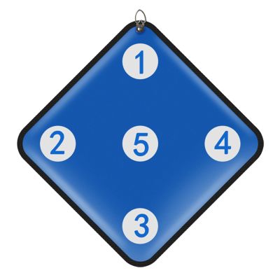 DJJYCTNM Five Bulls-Eye Fencing Target Fencing Auxiliary Training Equipment PU Mrateial Shockproof Suitable for Fencing Gym Training and Self-Training(Blue)
