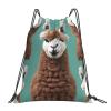 NOUZU Alpaca Llama Print Sports Drawstring Backpack For Women Men, Lightweight Gym Bag For Gym Travel Swimming view 1