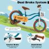 BABY JOY Kids Bike, 12 Inch Boys Girls Bike for 3-4 Years Old w/Training Wheels, Adjustable Seat, Removable Basket, Handbrake and Coaster Brake, Kids Bicycle (Turquoise) view 3
