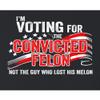 5X-Large Black Mens I'm Voting Convicted Felon Not Guy Who Lost His Melon T-Shirt view 4
