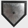 NineFit Basics Douglas Home Plate with Ground Anchor view 2