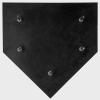 NineFit Basics Douglas Five Spike Home Plate view 2