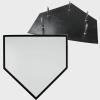 NineFit Basics Douglas Five Spike Home Plate view 3