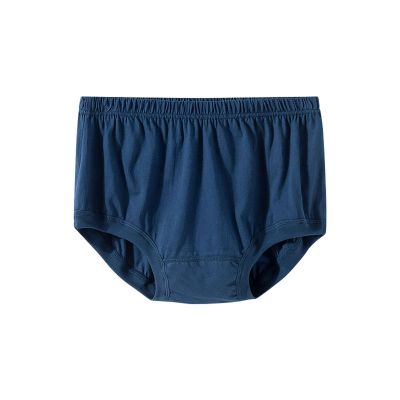 Cambkatl Mens Basic Cotton Underwear - Comfortable Hight Waisted Underpants - Breathable Soft Briefs for Older Male