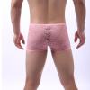 Cambkatl Mens Sheer Floral Lace Underwear - Sexy See Through Boxers - Breathable Boxer Briefs - Male Sissy Lingerie view 3