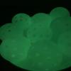Aolowewin Glow in The Dark Pickleball Balls, 40-Holes USA Pickleballs (USAPA) Spec, Day and Nighttime Practice Pickle Balls, with UV Flashlight & Mesh Bag view 3