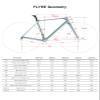 ICAN Flyee Carbon Disc Road Bike Frameset UCI T47 BB and UDH Hanger (Purple, 52cm) view 2