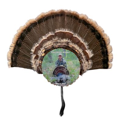Festus Trading Company Turkey Fan Mount  Display for Wild Tail Feathers  Perfect for Trophy Hunting Enthusiasts