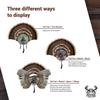 Festus Trading Company Turkey Fan Mount  Display for Wild Tail Feathers  Perfect for Trophy Hunting Enthusiasts view 2